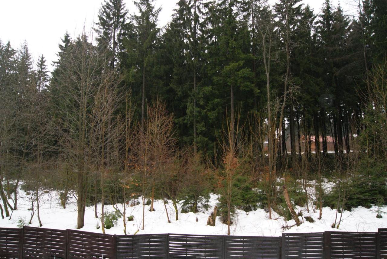 Fewo Adler 2-6 Personen Braunlage Luaran gambar